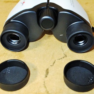 74733334_5