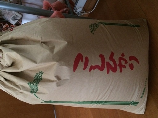 【新米こしひかり玄米】三重県産 30kg
