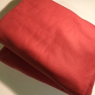 新品✨ふんわり暖かい🎄フリース2枚仕立て毛布