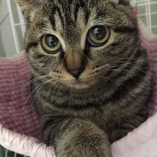 3カ月半 人慣ればっちり　♀イバちゃん