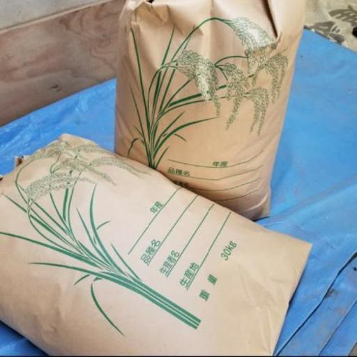 【5袋限定】平成29年度　茨城県産コシヒカリ30kg