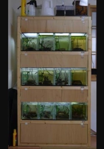 熱帯魚 爬虫類 水槽台 オーダーメイド (あきあき) 神戸の家具の中古 