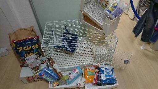 フェレット 飼育セット 新品未使用