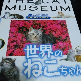 THA CAT MUSEUM ガイドブック