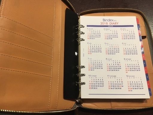 新品2019ダイアリー 半額以下で