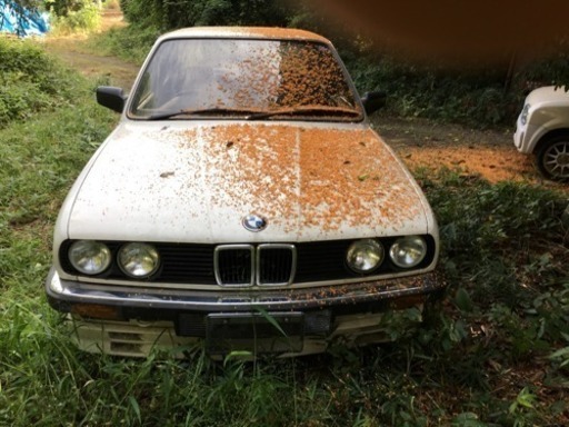 その他 BMW