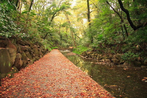 11月25日 11 25 ここが東京なの 大自然の中でマイナスイオンを浴びよう 等々力渓谷紅葉ウォーキングコン 全国恋活パーティー 二子玉川のパーティーのイベント参加者募集 無料掲載の掲示板 ジモティー