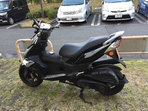 PGO MAX 200cc | diyfishblogs.com