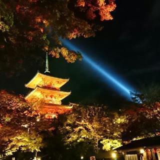 11/25 京都の秋 プロカメラマンと写真撮影！