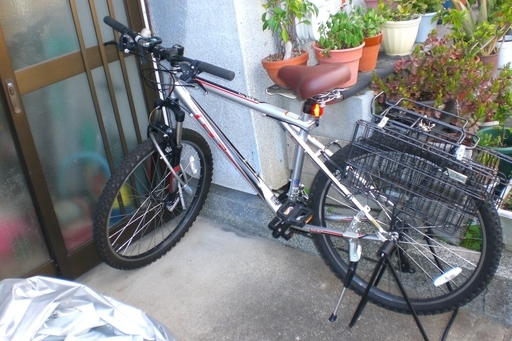 PALOMAR　GT　サイズM