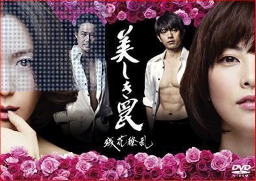 ★美しき罠～残花繚乱～ DVD-BOX 田中麗奈 若村麻由美 ★