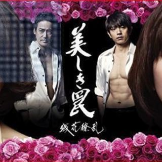 ★美しき罠～残花繚乱～ DVD-BOX 田中麗奈 若村麻由美 ★