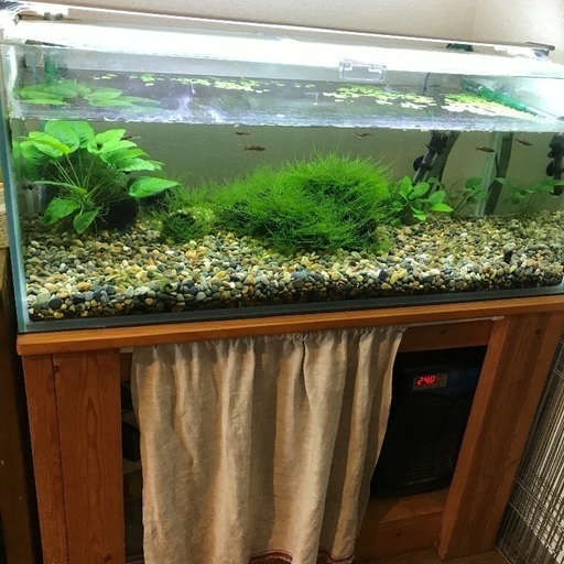 大きな水槽セット 90センチ