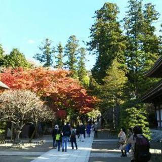 １１月２６日（日）鎌倉御朱印巡り（神社・お寺巡り）