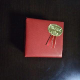 プラチナダイアモンド0,40カラットピアス