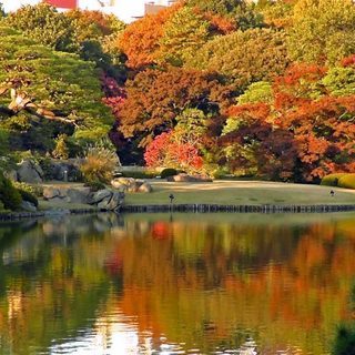 12月3日(12/3)  鎌倉アルプス天園ハイキングコーストレッ...