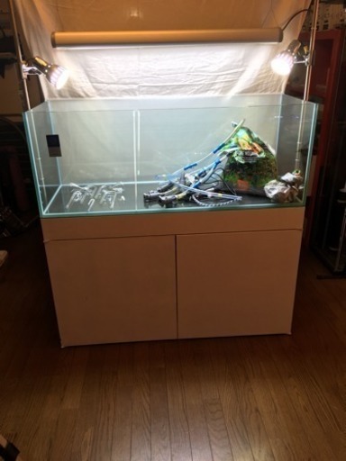 【6ヶ月程度使用の超美品】120cm水槽\u0026水槽台