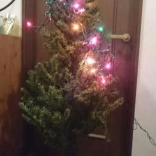 クリスマスツリー  150cm  1000円