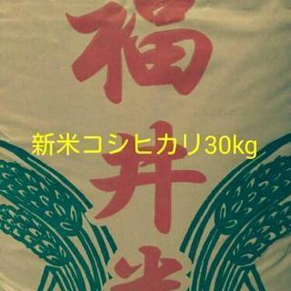 新米コシヒカリ30kg　大幅減農薬有機栽培