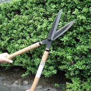 庭木の剪定、伐採、草刈り‼️どこよりも安い❗️一軒家、アパートなんでも!