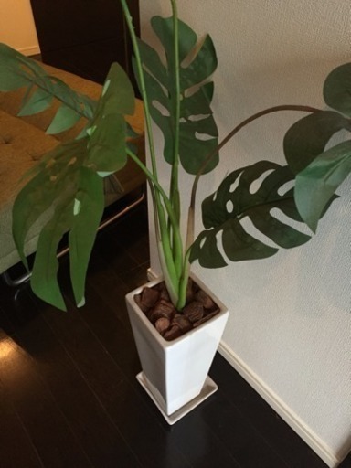 おしゃれな観葉植物 作り物なので 枯れません Reina 小伝馬町のインテリア雑貨 小物 その他 の中古あげます 譲ります ジモティーで不用品の処分 おしゃれな観葉植物 作り物なので 枯れません Reina 小伝馬町のインテリア雑貨 小物 その他 の中古あげます 譲ります ジモティーで不用品の処分