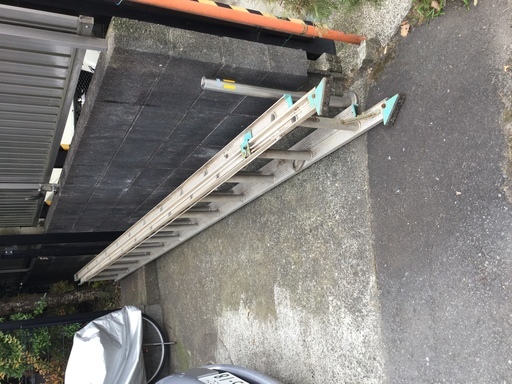 ハシゴ