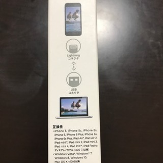 成立