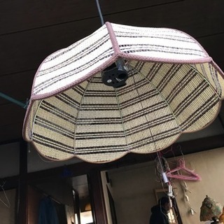 ライトの傘