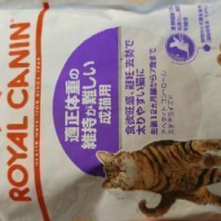 ロイヤルカナン　適正体重の維持が難しい成猫用　試供品　50g