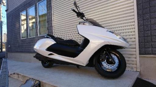 マグザム 最終値下げ | complexesantalucia.com