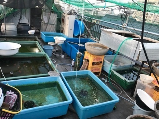 ジャンボプラ舟180L×4個 400L×2個