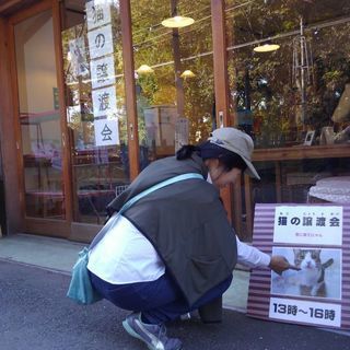 12月10日（日）東京都小平市たかの台にて猫の譲渡会開催　一緒に里親様とのご縁を探しませんか？ - 小平市