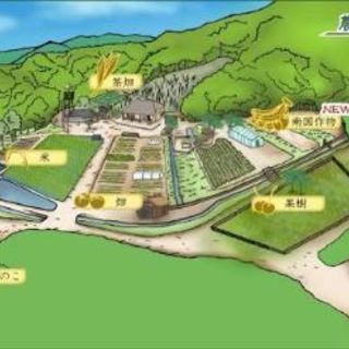 関西にもダッシュ村を作りたい。