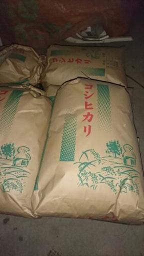 残り２袋！コシヒカリ玄米30kg