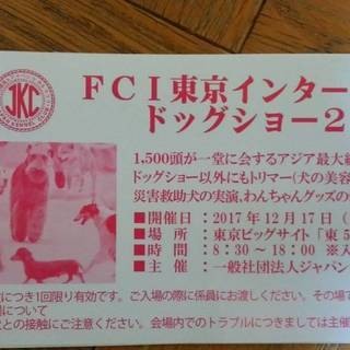 FCI東京インターナショナルドッグショー2017　1枚