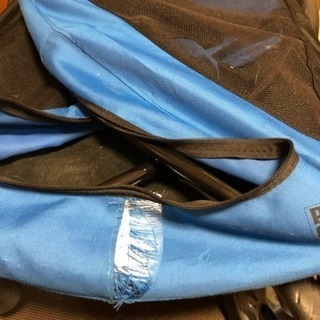 大型犬カート 小型犬の多頭飼いにも  PGソフトカートBIG ブルー お値下げしました