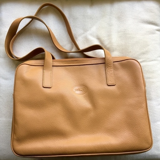 ロンシャン LONGCHAMP】ショルダーバッグ（美品、保存袋付