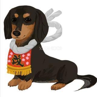 犬用の化粧まわし