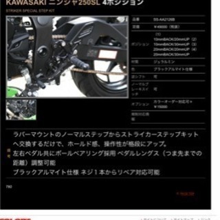 Ninja250SL バックステップ