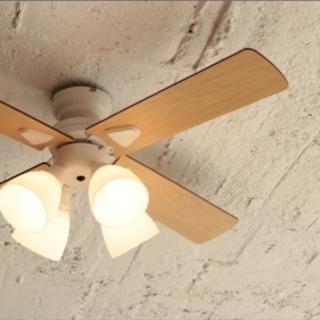 シーリングファンライト | energysource.com.br