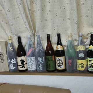 海▪川等の水遊び／雪山／温泉巡り／芋焼酎▪日本酒▪ビール好きな方