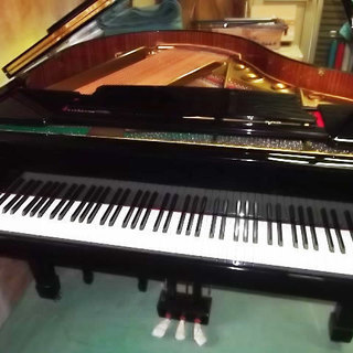 中古グランドピアノ G146　