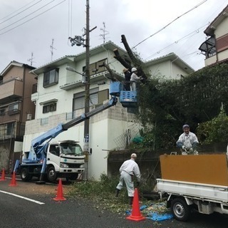 庭木の剪定 大阪府 寝屋川市 枚方市 交野市