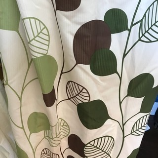ニトリのカーテン  緑