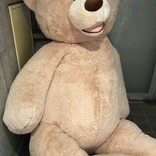 コストコ くま ぬいぐるみ COSTCO big bear 236cm コストコ クマ