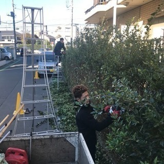 庭の手入れ リフォーム店【所沢市 清瀬市 狭山市 新座市 東村山...