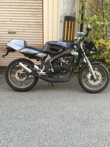 ヤマハ tzr50