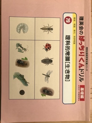 問題集  ばっちりくんドリル