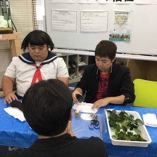 アクアリウム販売