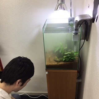 アクアリウム販売